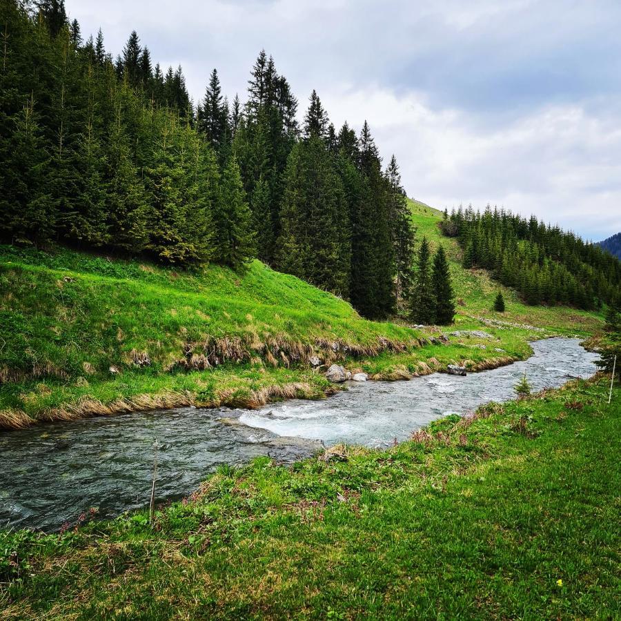 Fewo D'Rock Arosa- Center Of Nightlife By Nature Apartments Switzerland エクステリア 写真