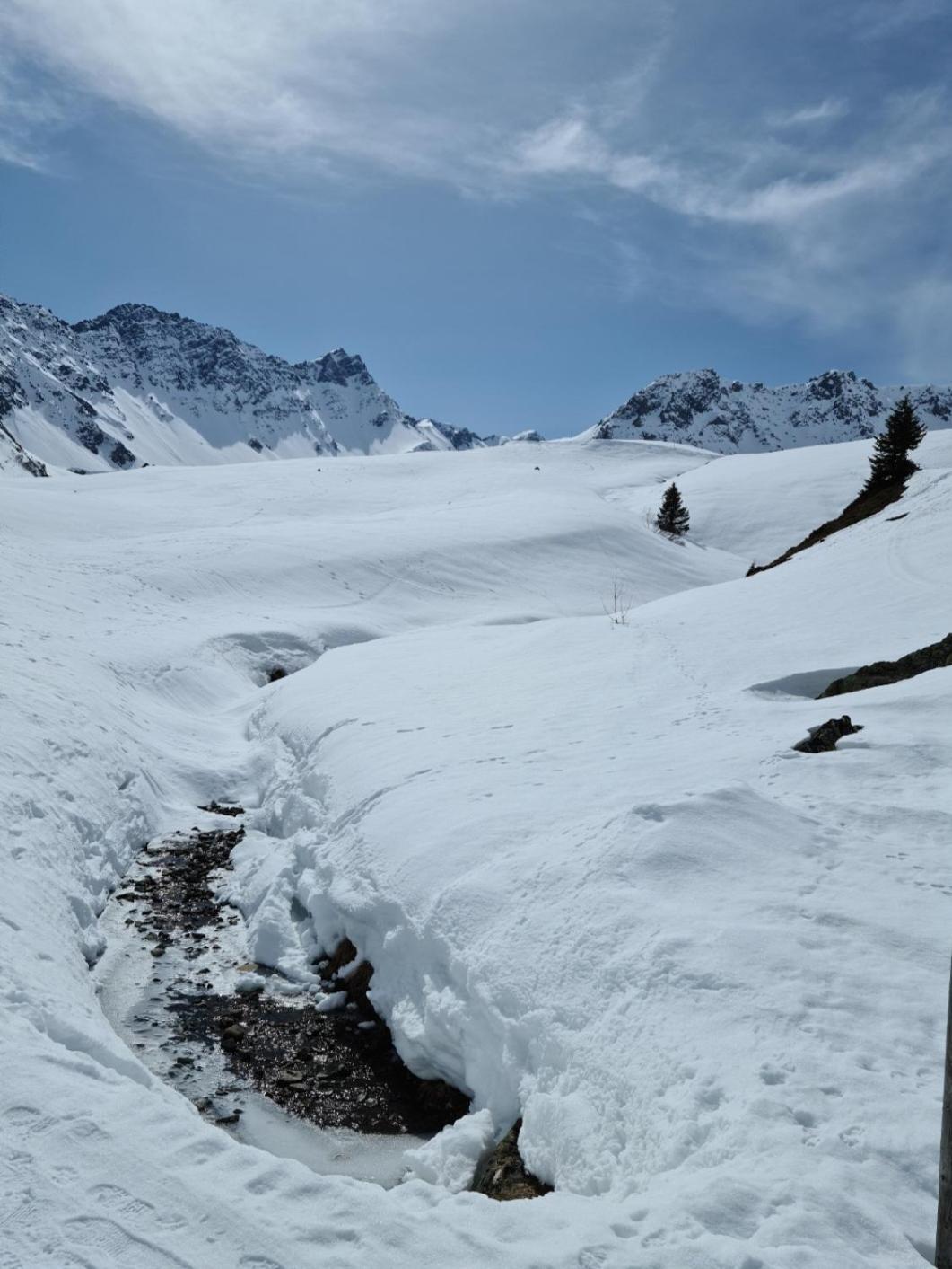 Fewo D'Rock Arosa- Center Of Nightlife By Nature Apartments Switzerland エクステリア 写真