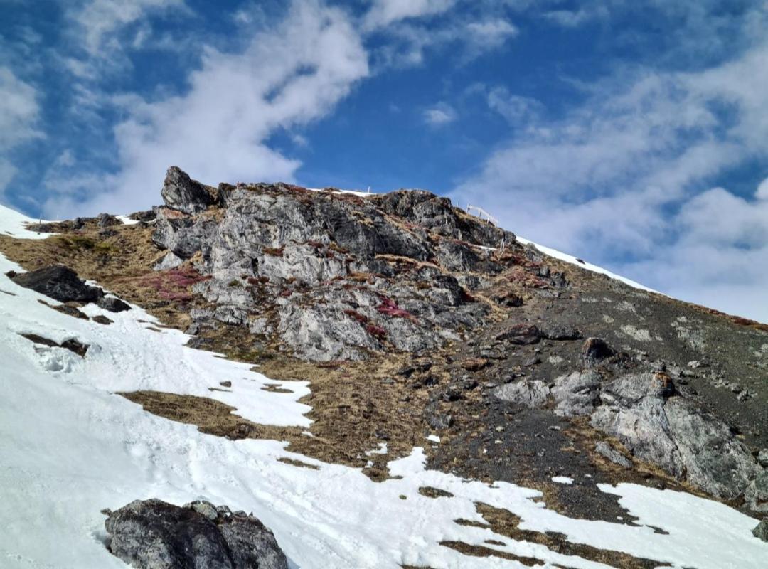 Fewo D'Rock Arosa- Center Of Nightlife By Nature Apartments Switzerland エクステリア 写真
