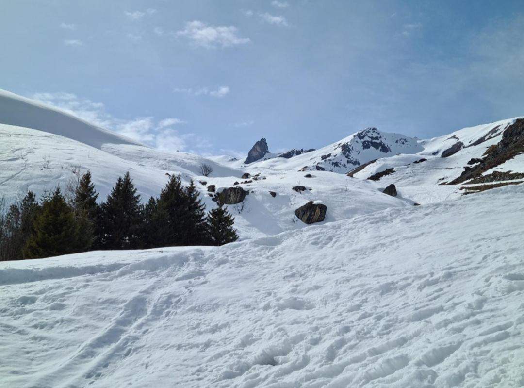 Fewo D'Rock Arosa- Center Of Nightlife By Nature Apartments Switzerland エクステリア 写真