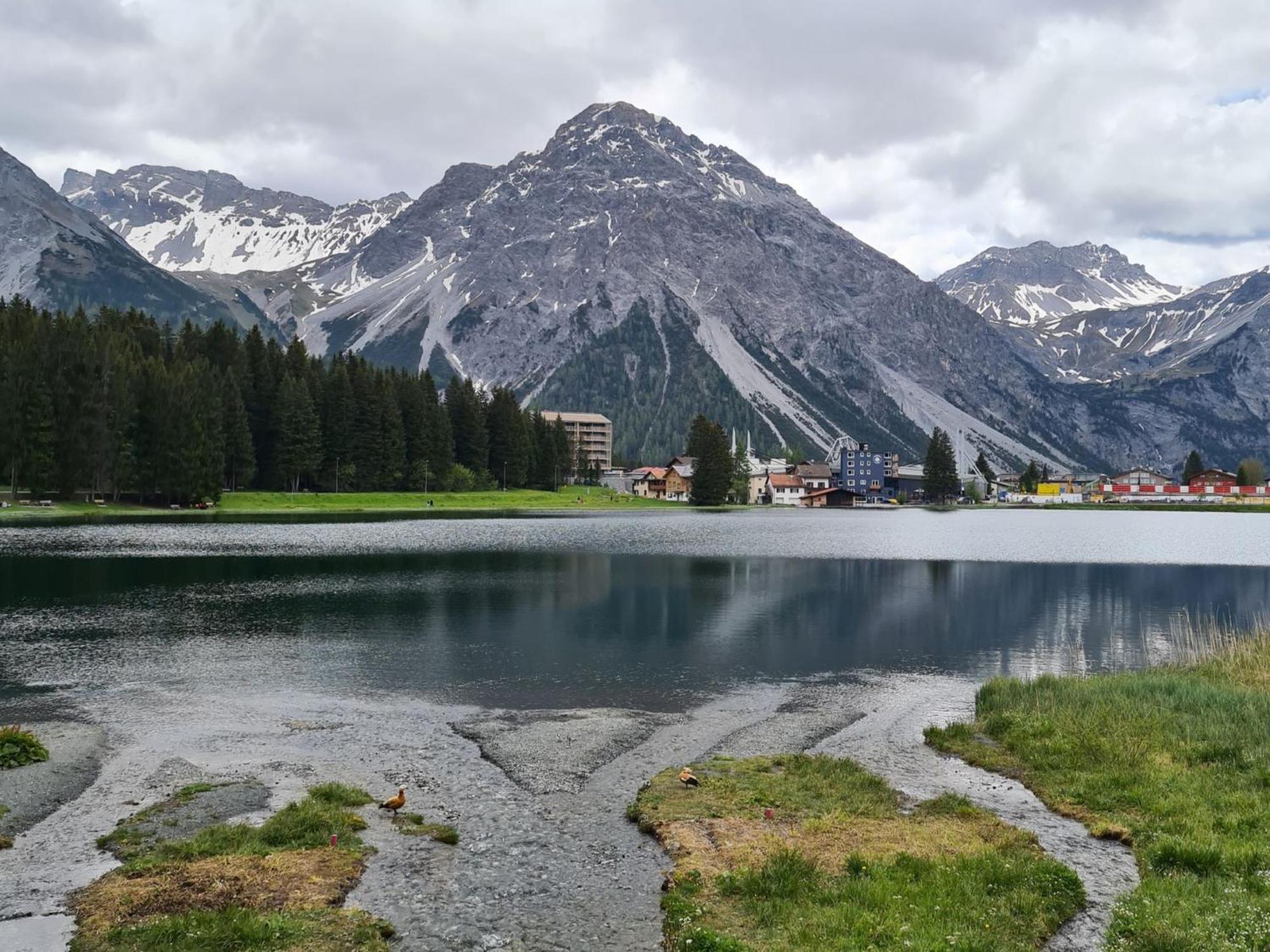 Fewo D'Rock Arosa- Center Of Nightlife By Nature Apartments Switzerland エクステリア 写真